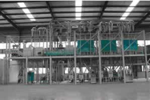 Maize Flour Milling Plant